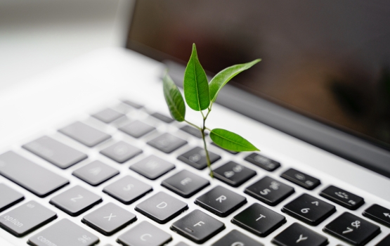 Éco-participation et PrestaShop, un défi face à l'urgence climatique