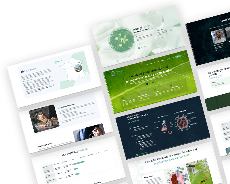 
                                                                                                            projet.values.image_listing_mobile.alt
                                                    